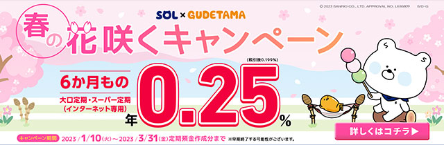 とっちくん様 ご専用 3/31まで-